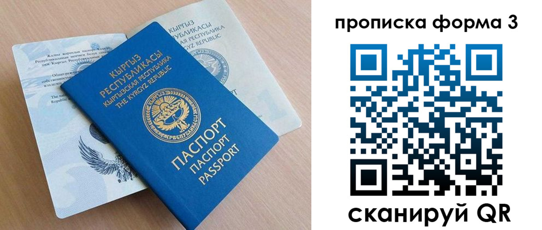 где прописаться в Гороховце